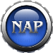 NapSA - Logo